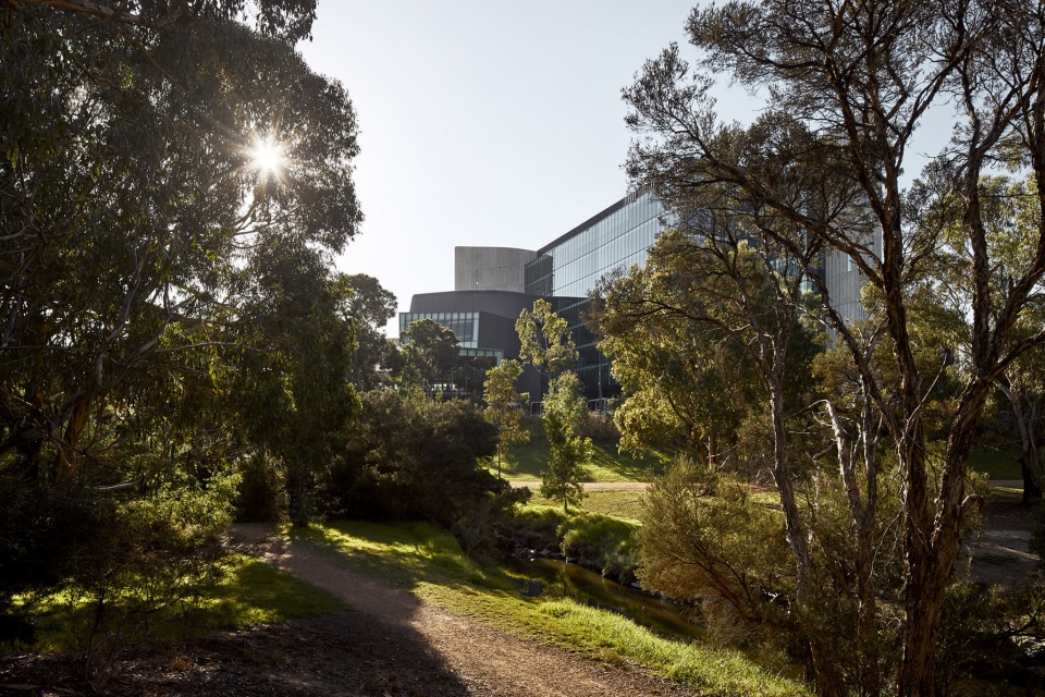 deakin law school building by woods bagot
