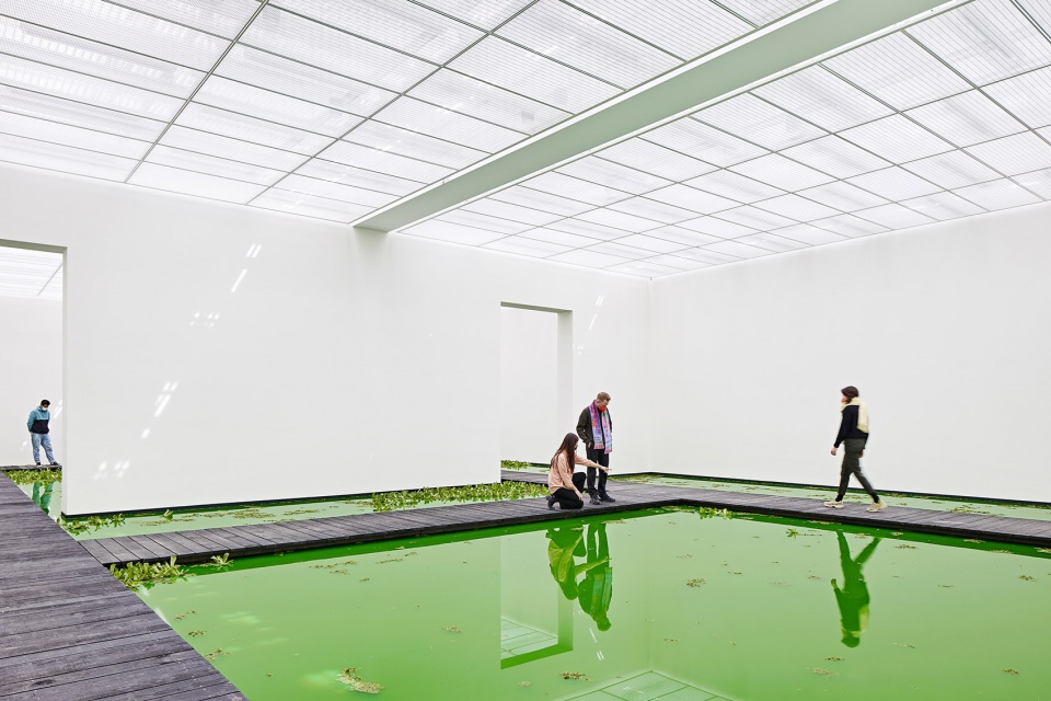 life by olafur eliasson