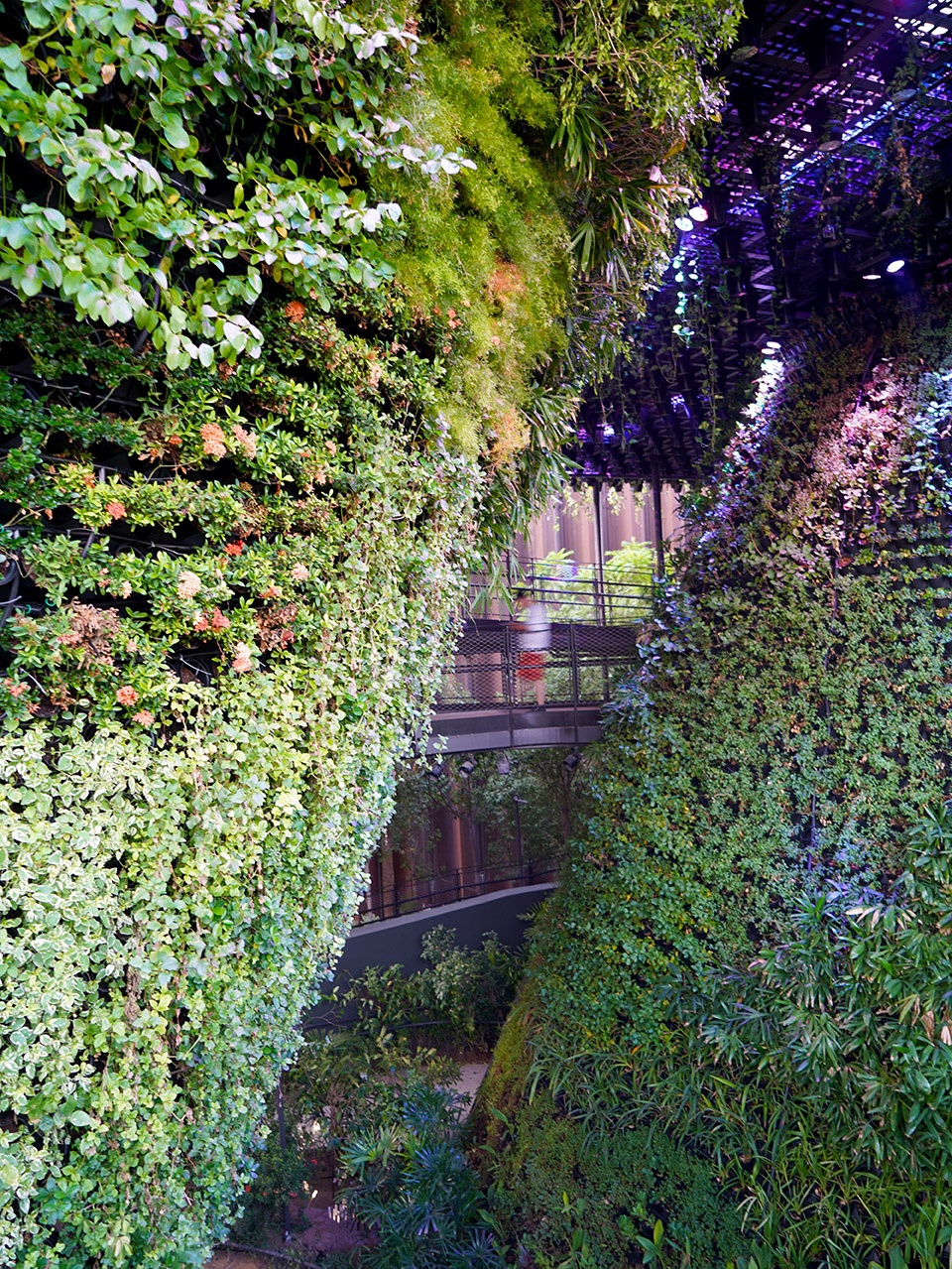 Singapore Pavilion at Expo Dubai by WOHA