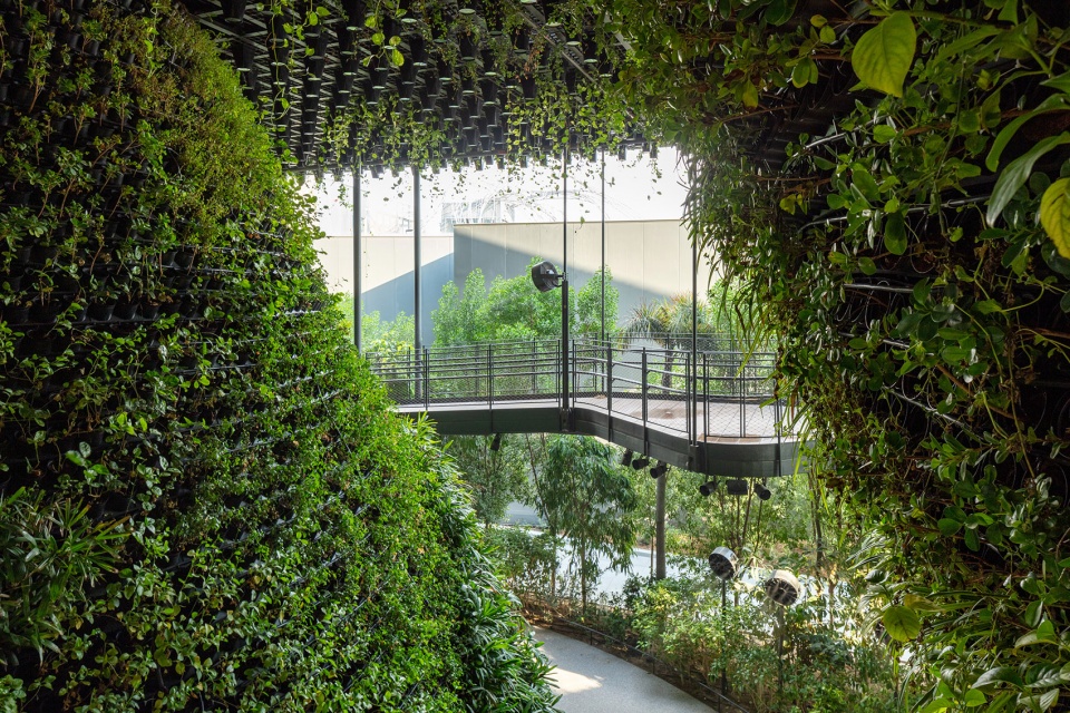 Singapore Pavilion at Expo Dubai by WOHA