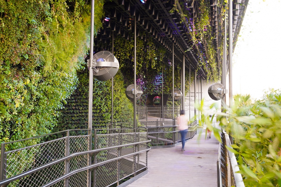Singapore Pavilion at Expo Dubai by WOHA