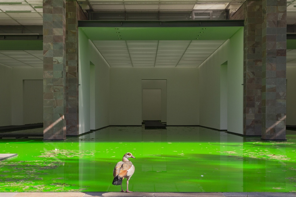 life by olafur eliasson