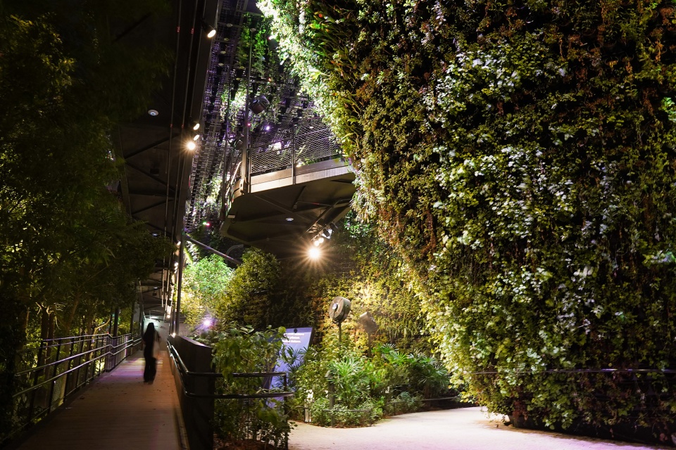 Singapore Pavilion at Expo Dubai by WOHA