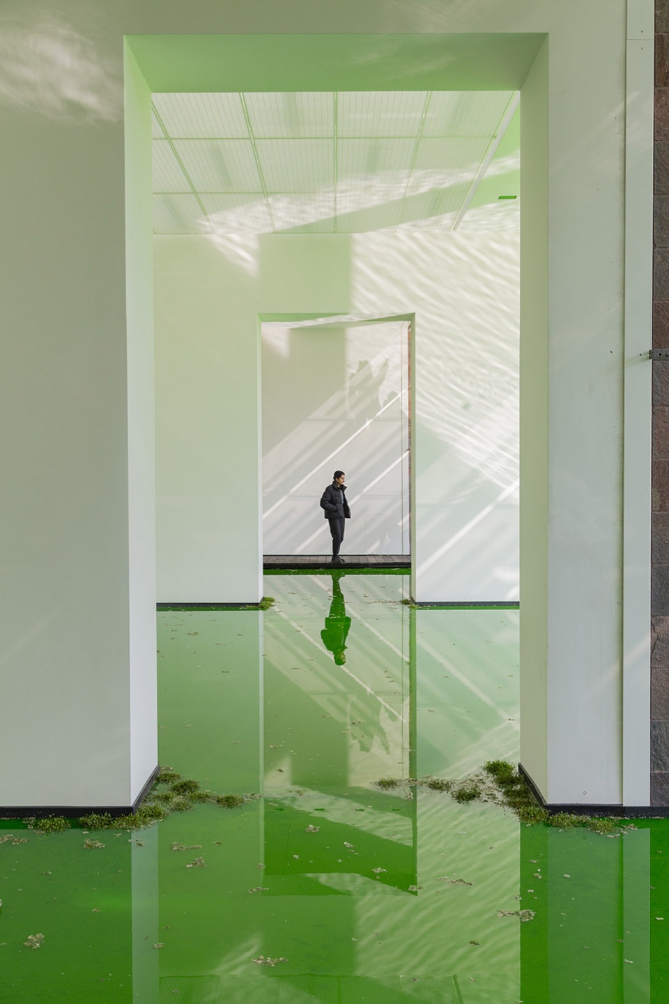 life by olafur eliasson