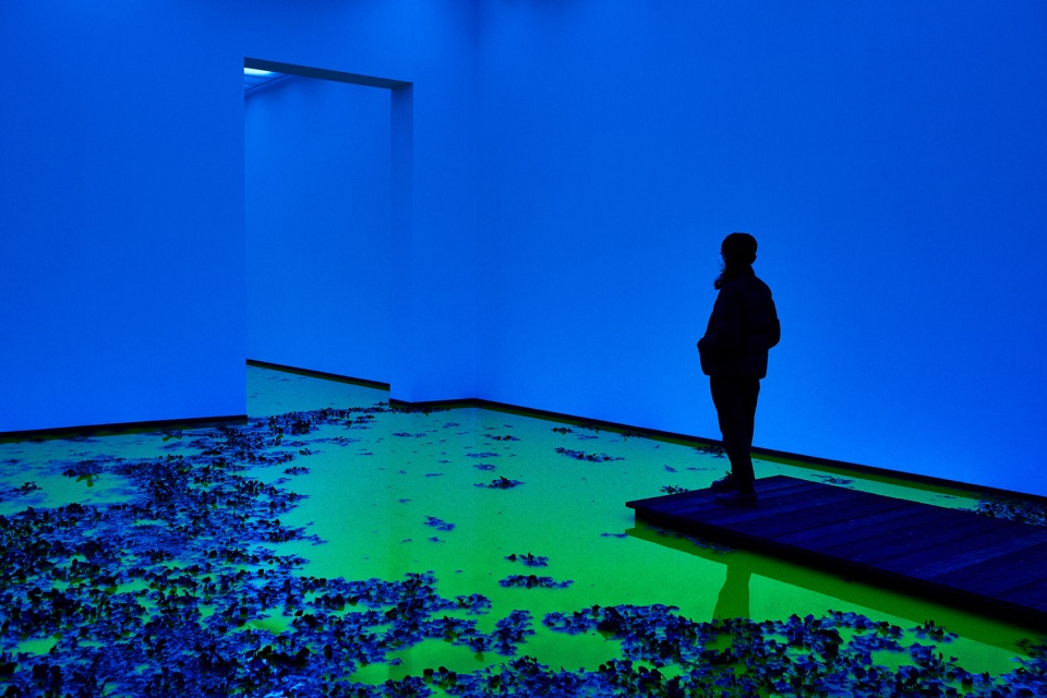 life by olafur eliasson