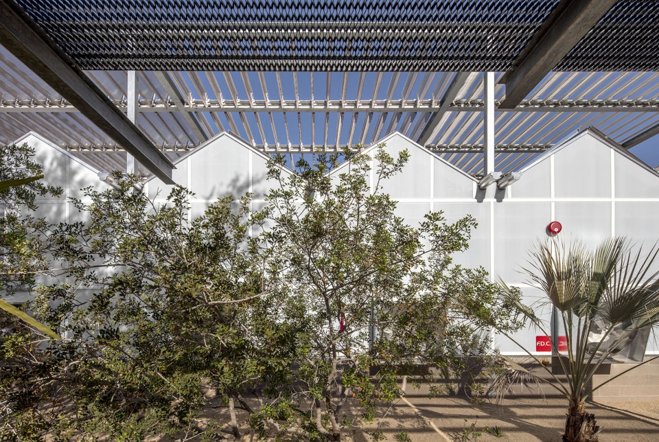 hazel hare center for plant science by 180 degrees design build colab studio