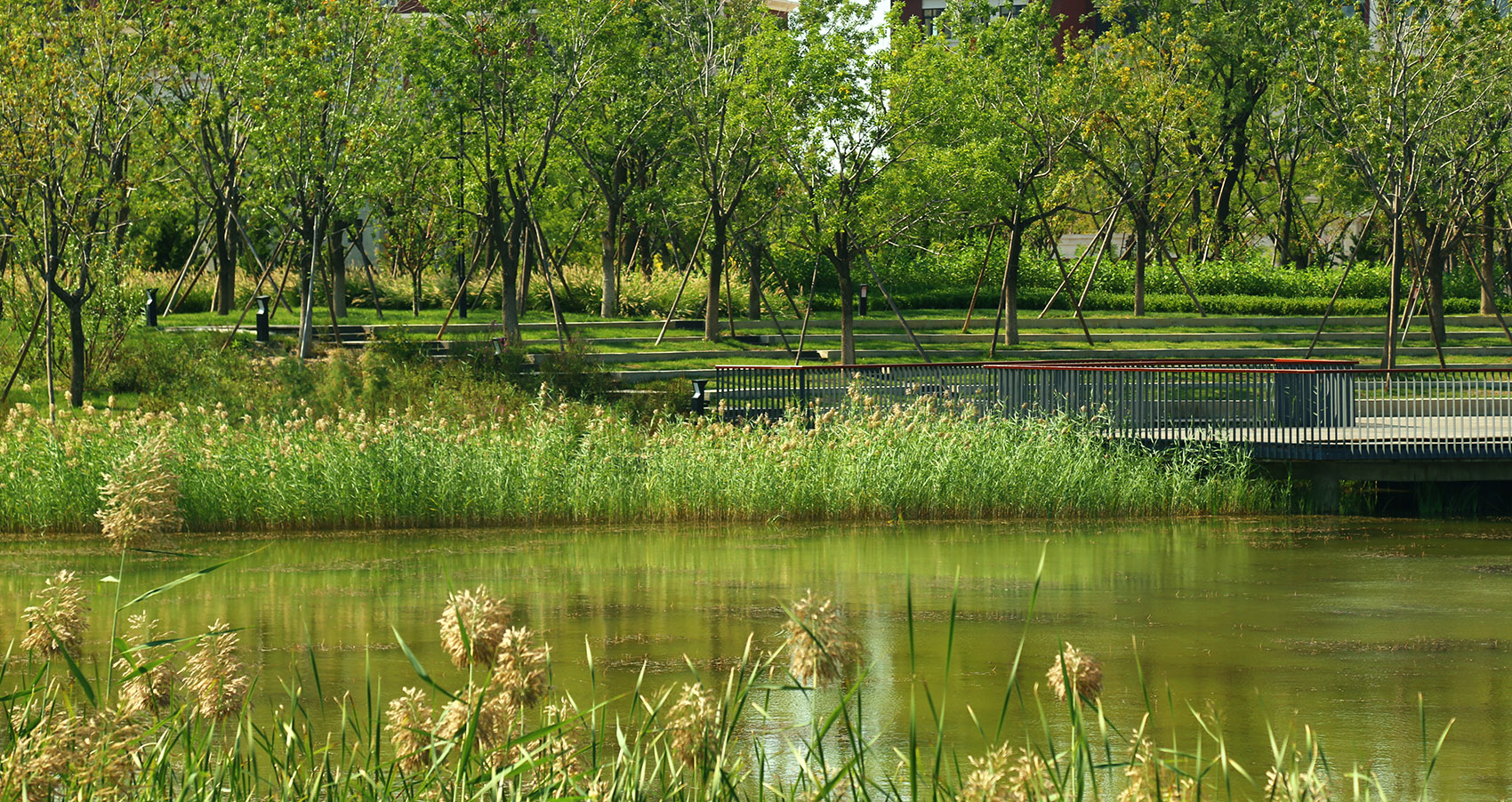 天津团泊新城东区翔宇公园景观设计北京易禾规划设计咨询有限责任公司