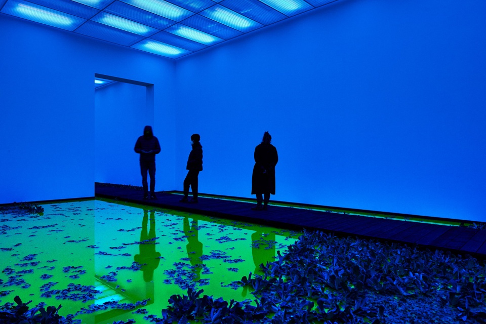 life by olafur eliasson