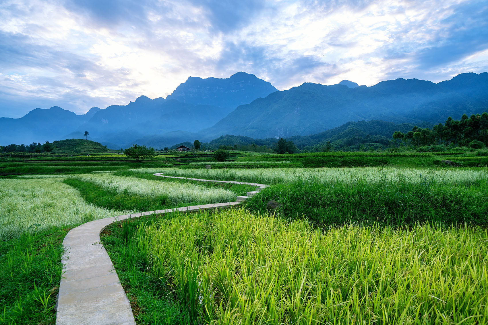 Gaoqiao Town Emei China by sichuan LEDA Landscape Design Co Ltd