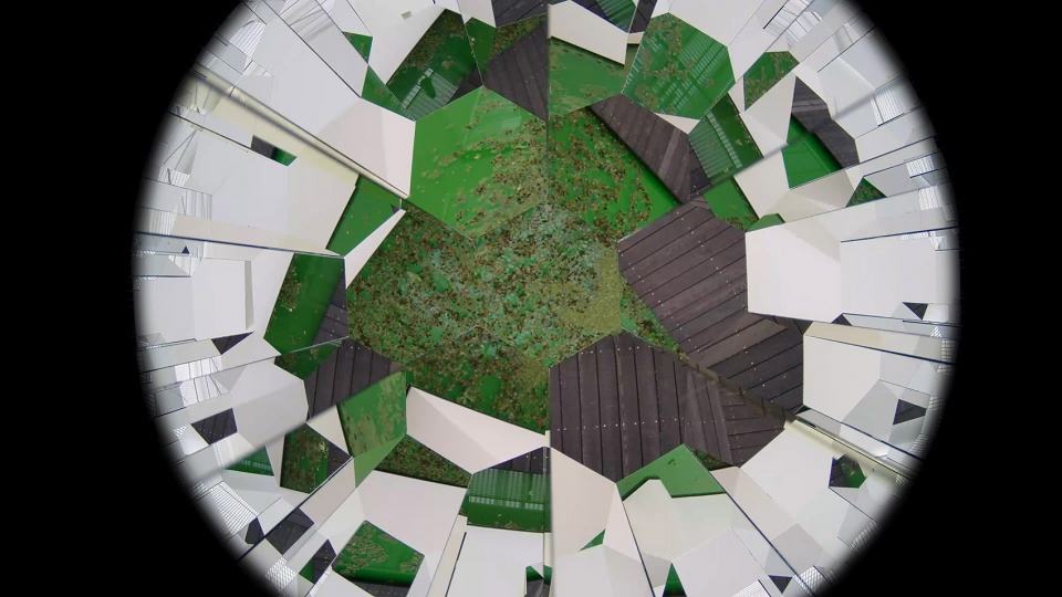 life by olafur eliasson