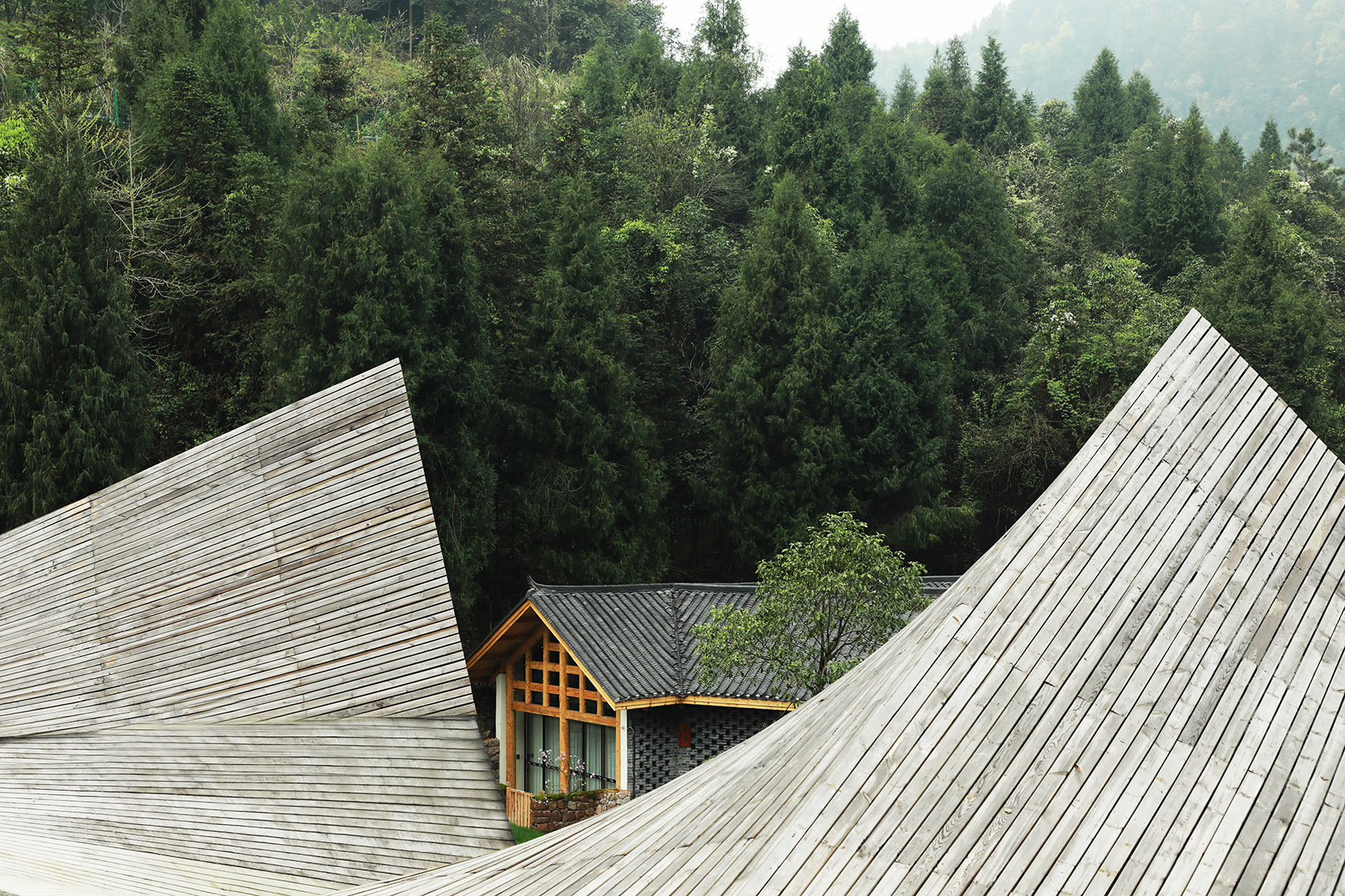 gooood archive curved roof