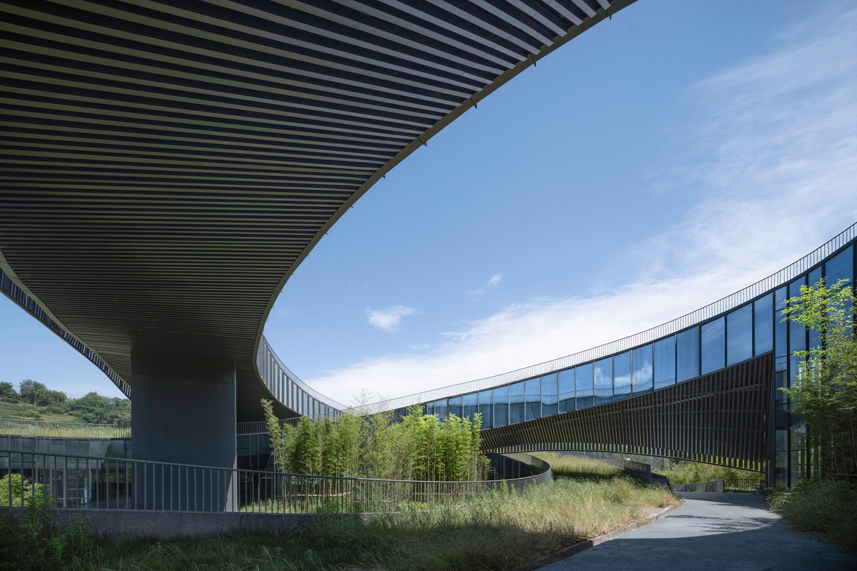 第五立面屋顶的曲线美