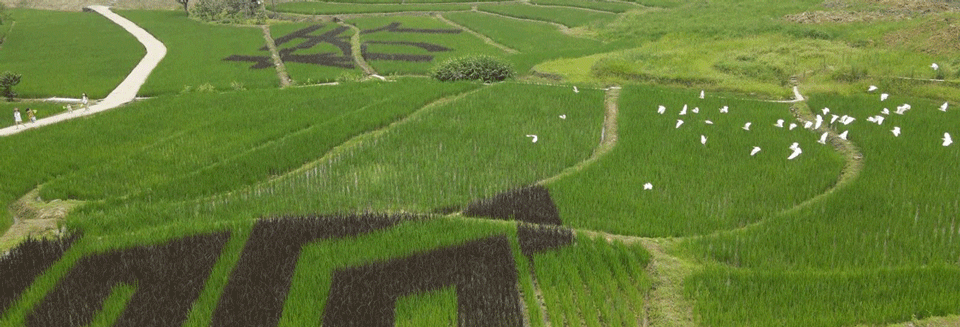 Gaoqiao Town Emei China by sichuan LEDA Landscape Design Co Ltd