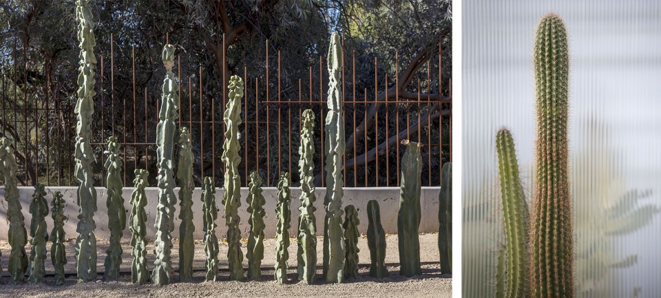 hazel hare center for plant science by 180 degrees design build colab studio