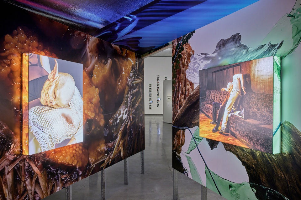 exhibition at mo by sa atelier