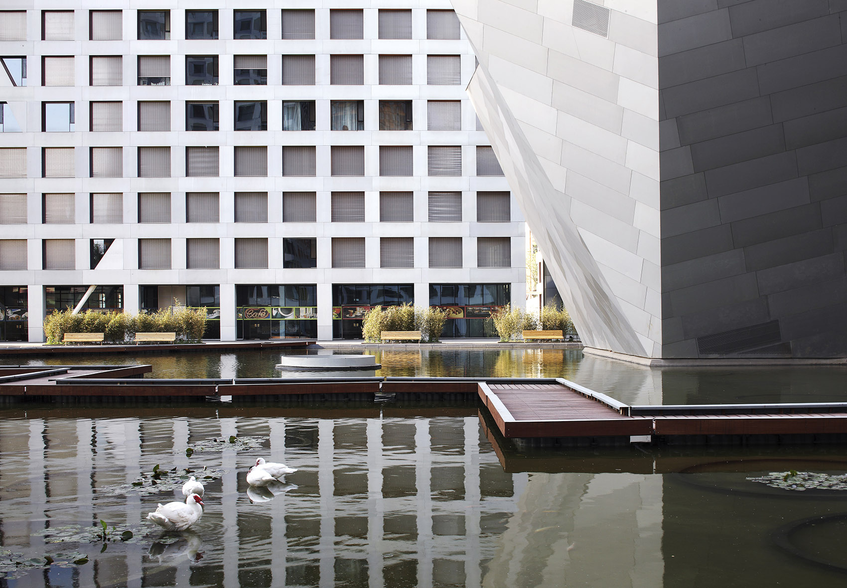 gooood Interview NO.35 Steven Holl Architects 谷德设计网