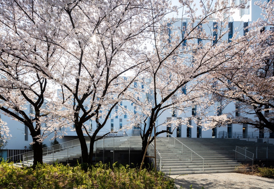 wellb hub 2 toyo kniv kengo kuma and associates