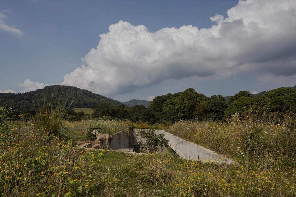 Avocado House by Francisco Pardo