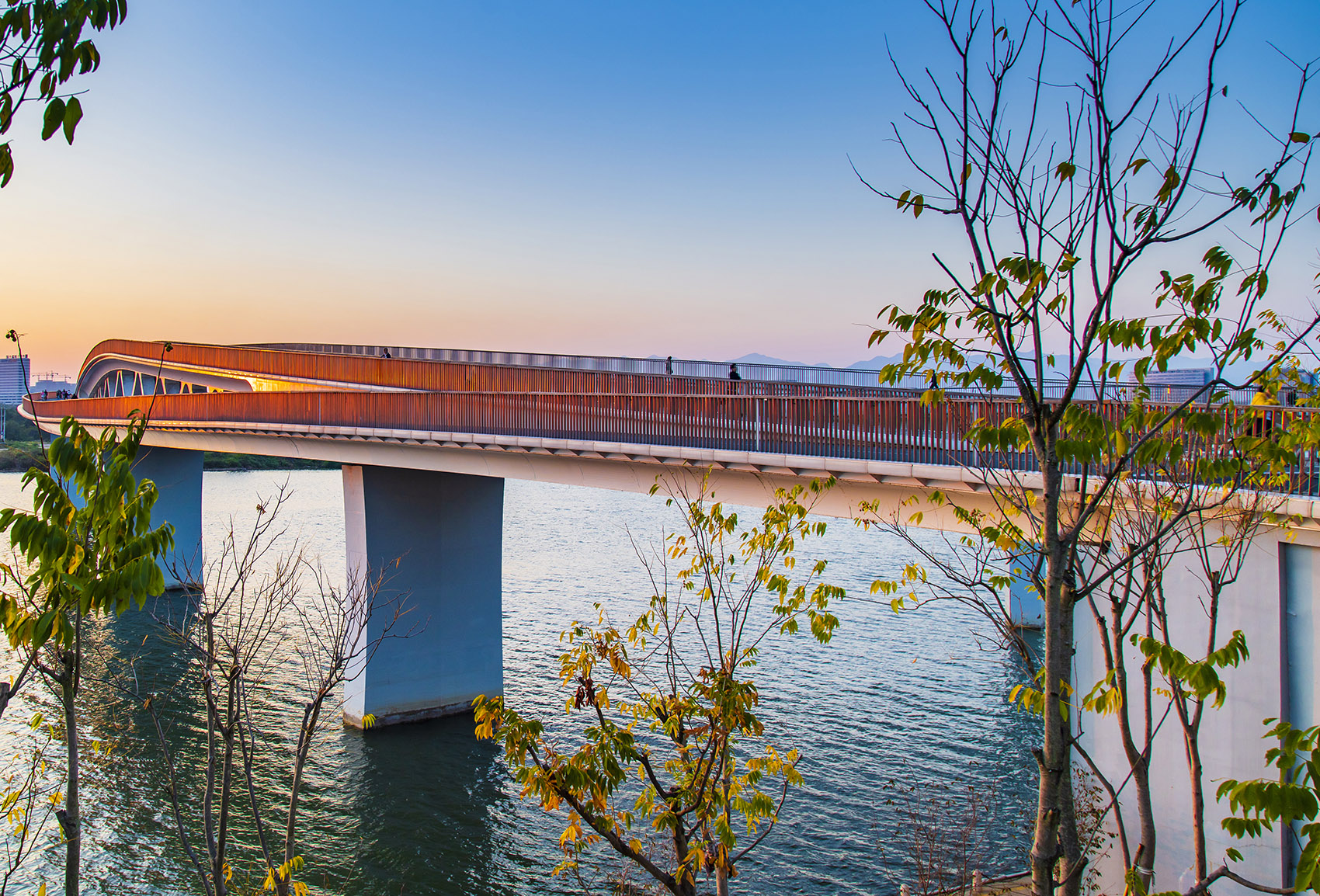 衢州市礼贤桥浙江土人设计