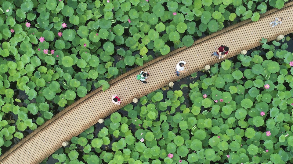 gulao water town cultural ecological tourism resort guest center china by huahui design