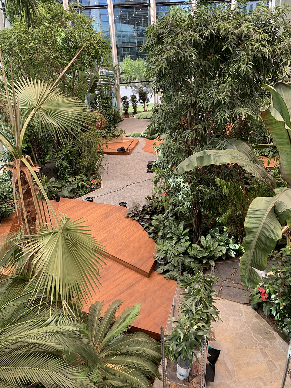 Exotic Garden at Workplace by MalinowskiDesign Urban landscape