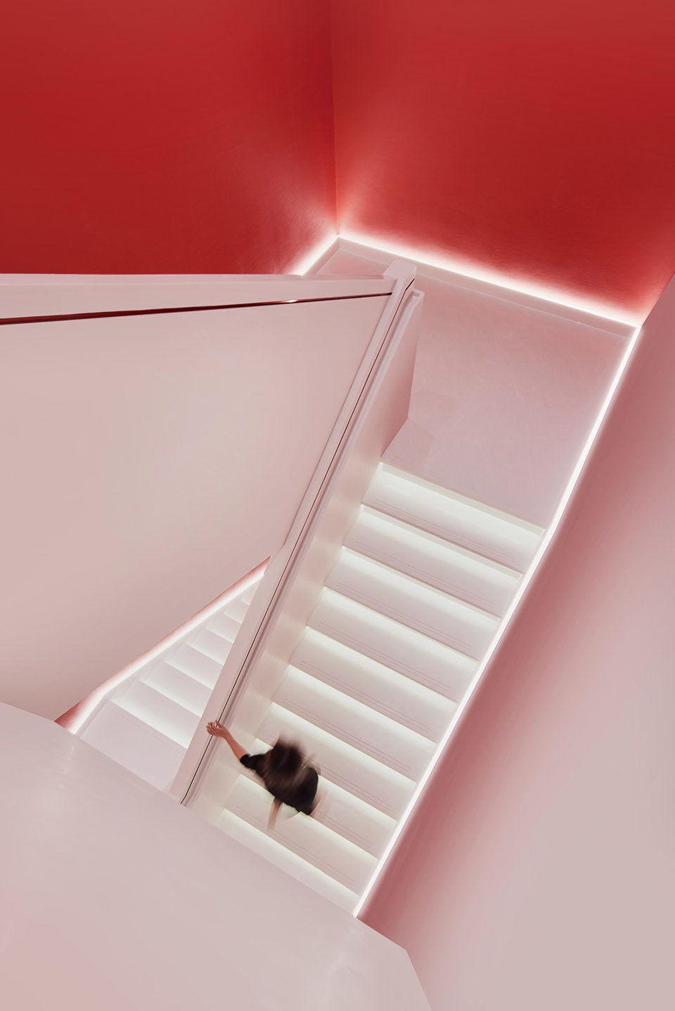 Xiaoxiandun Fresh Stewed Edible Bird s Nest Beijing Flagship Store by Leaping Creative