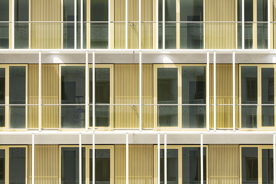 the line by orange architects
