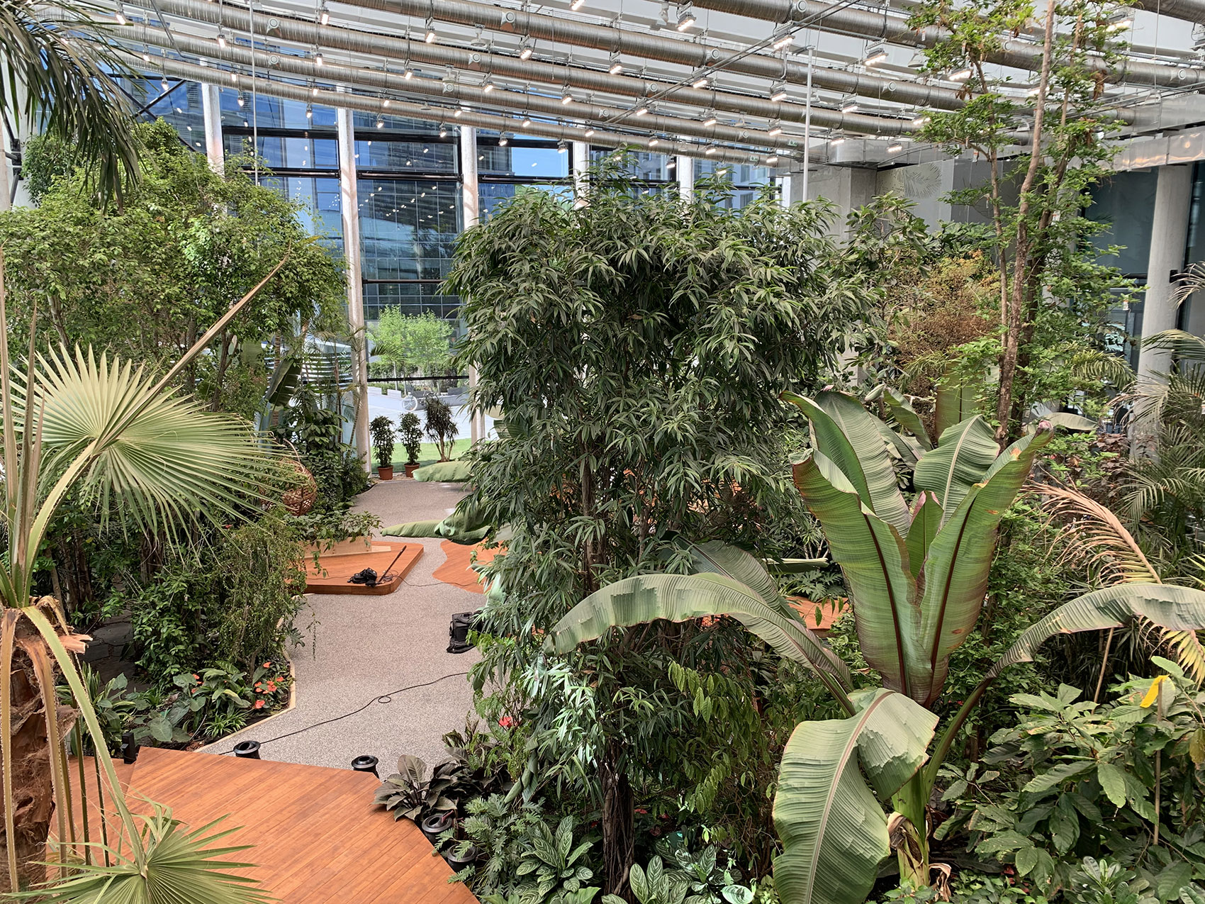 Exotic Garden at Workplace by MalinowskiDesign Urban landscape