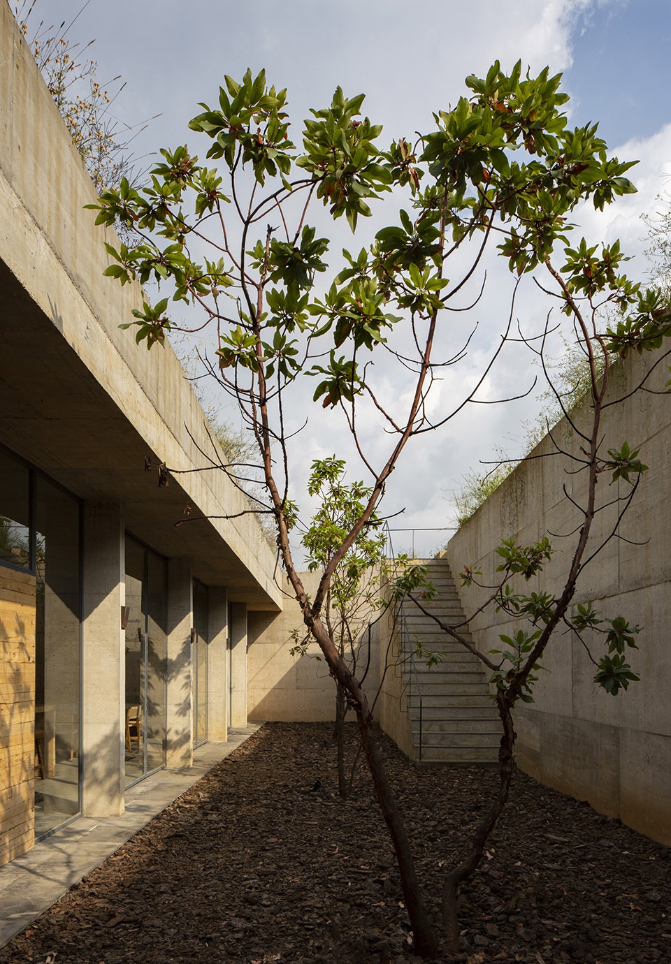 Avocado House by Francisco Pardo