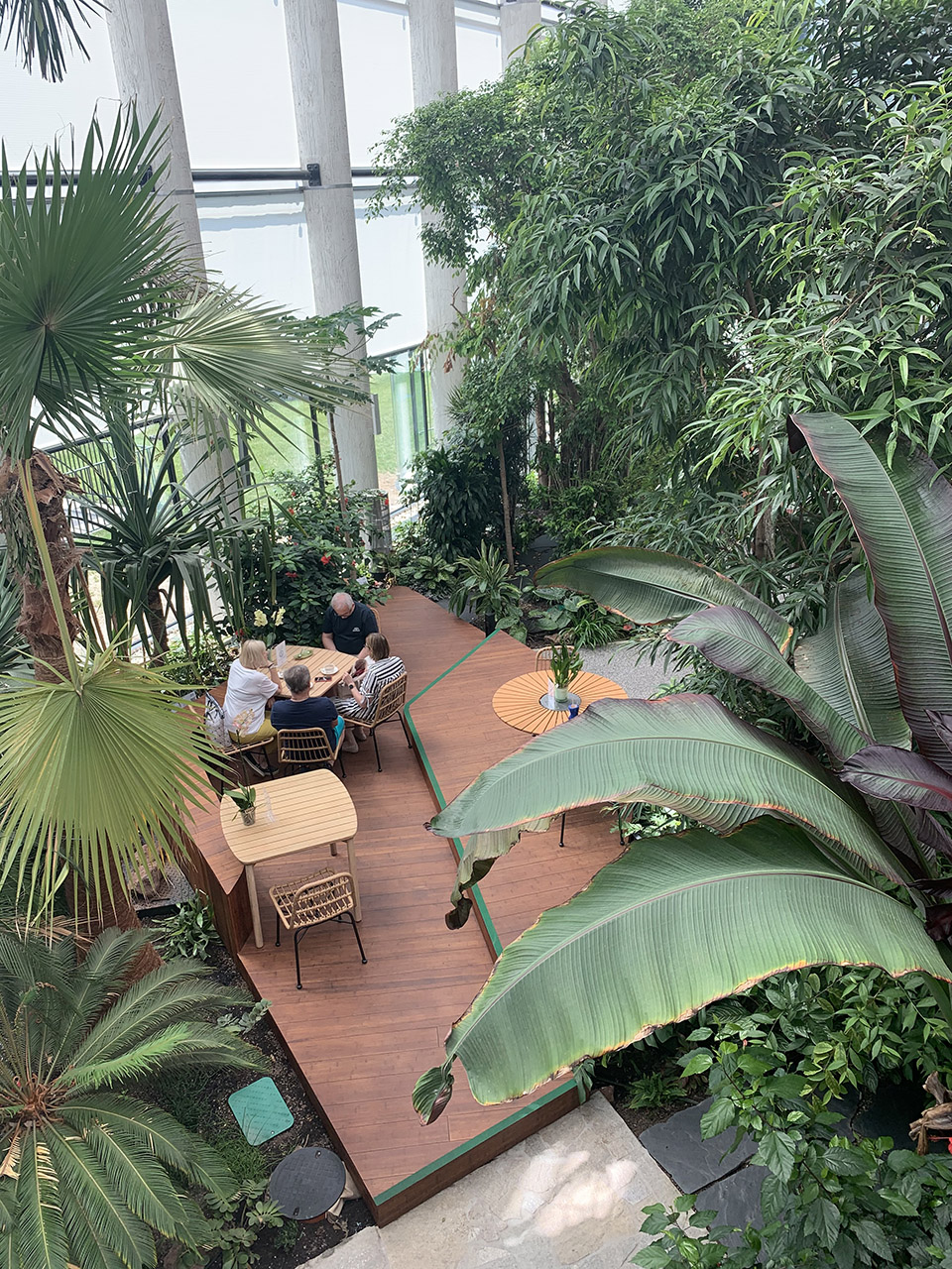 Exotic Garden at Workplace by MalinowskiDesign Urban landscape