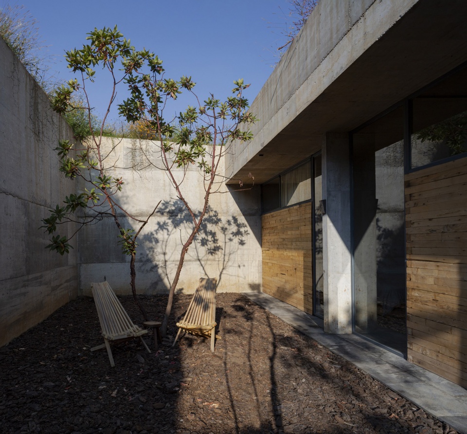 Avocado House by Francisco Pardo