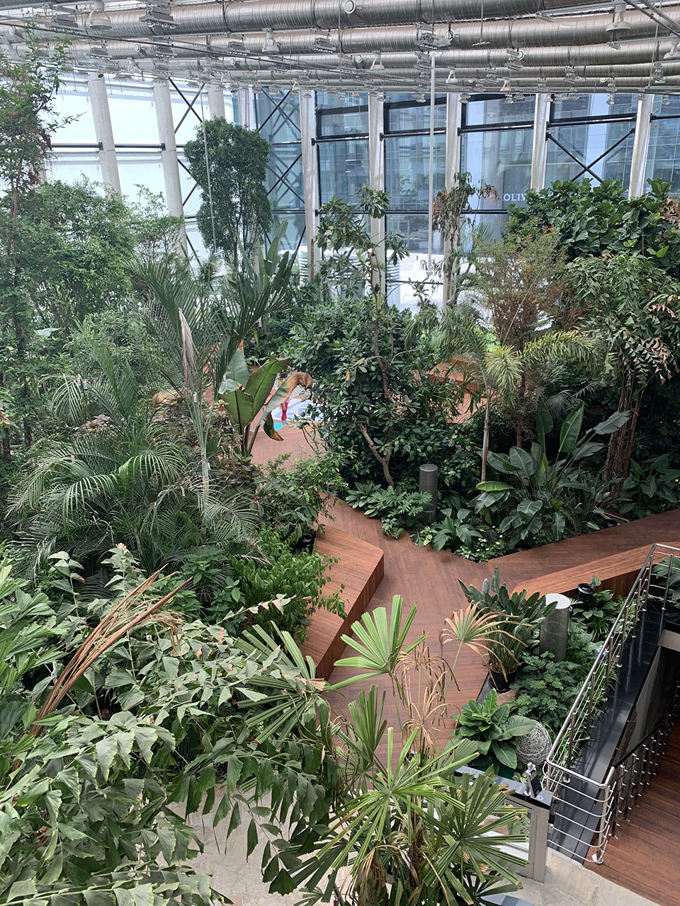Exotic Garden at Workplace by MalinowskiDesign Urban landscape