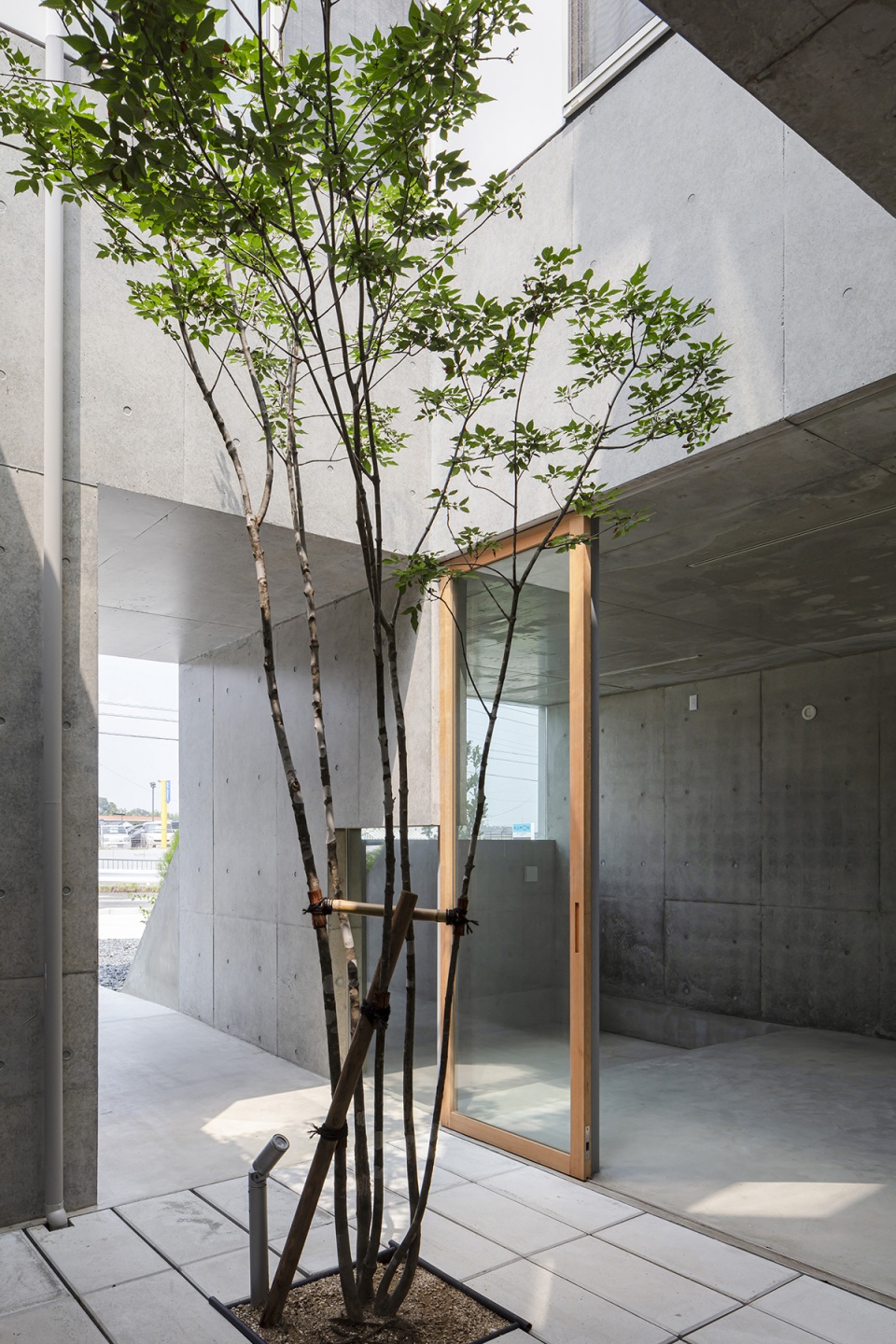 biotope along the by pass tanglad cafe by ihrmk