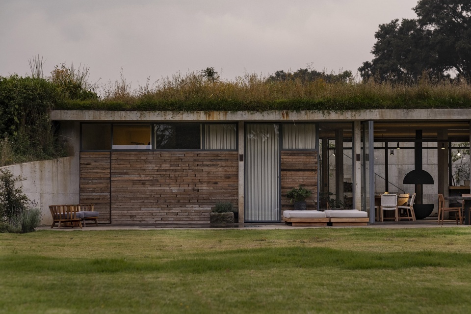 Avocado House by Francisco Pardo