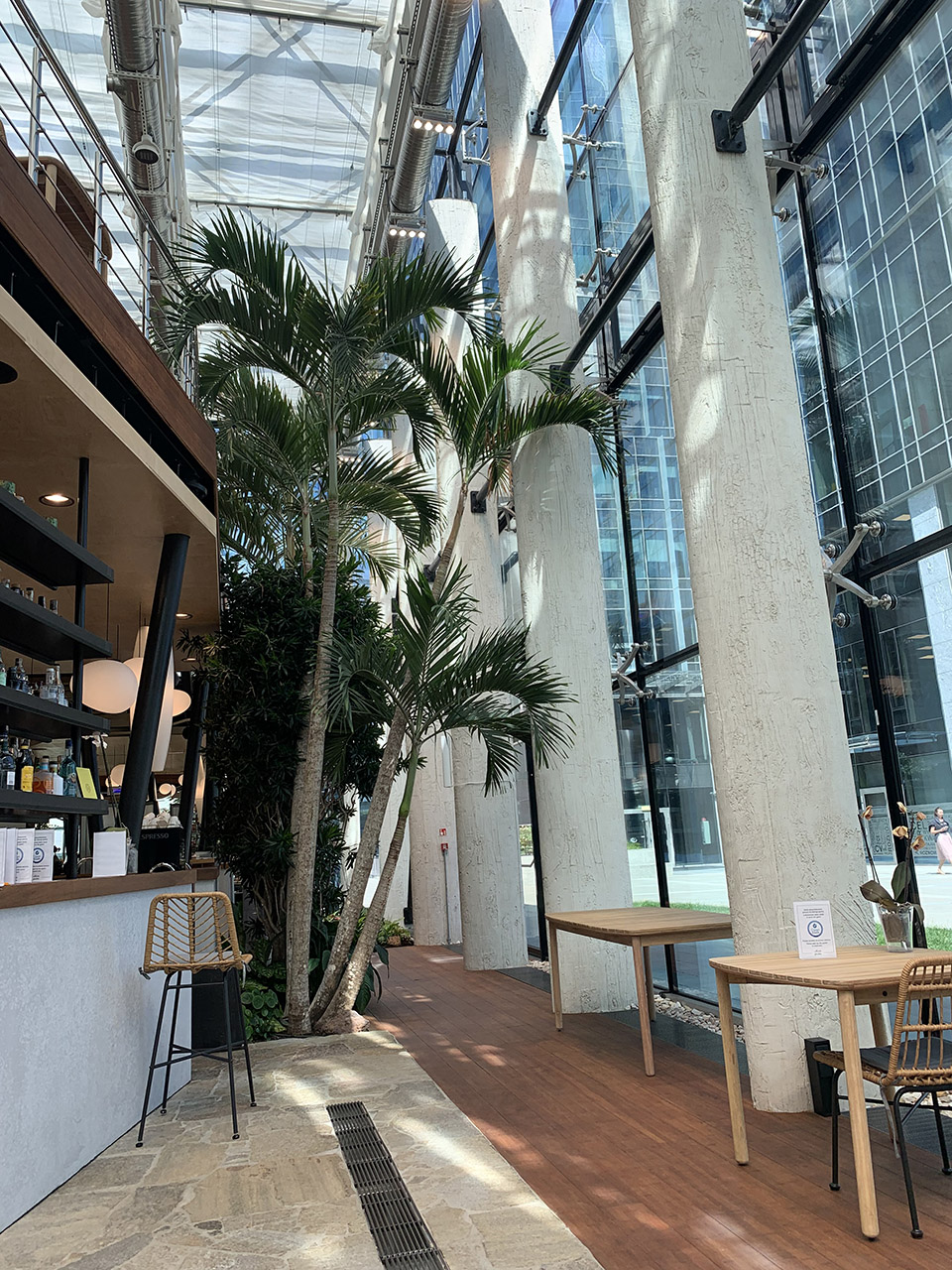 Exotic Garden at Workplace by MalinowskiDesign Urban landscape