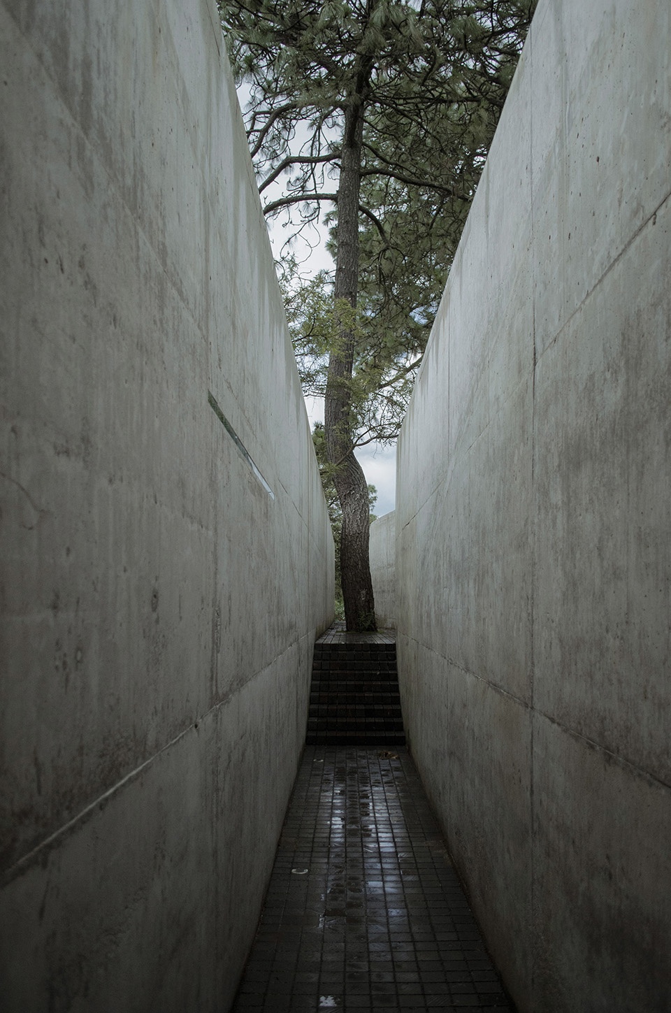the hill in front the glen by hw studio