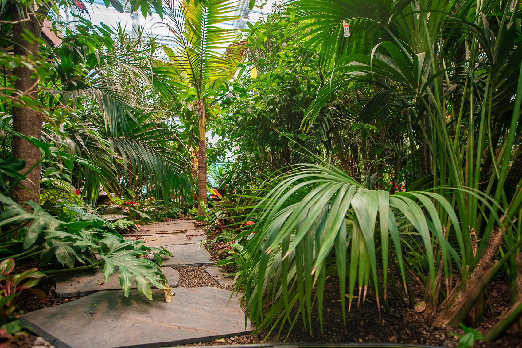 Exotic Garden at Workplace by MalinowskiDesign Urban landscape