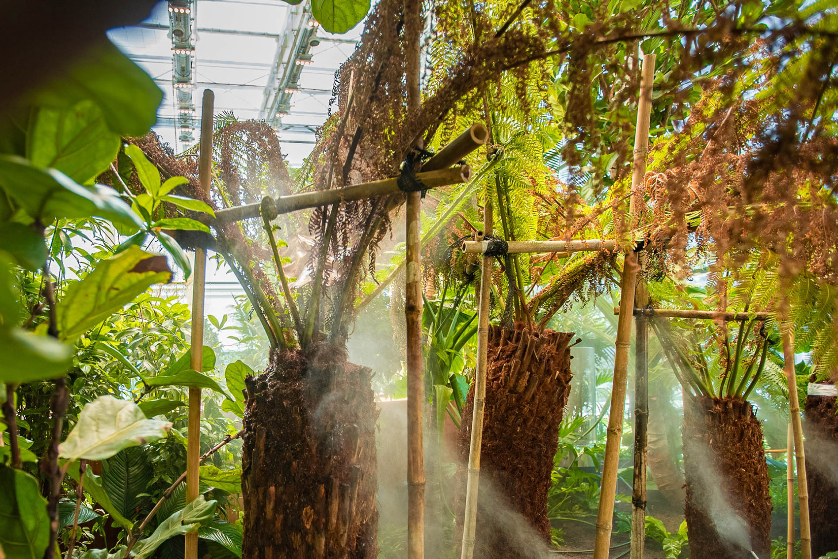 Exotic Garden at Workplace by MalinowskiDesign Urban landscape