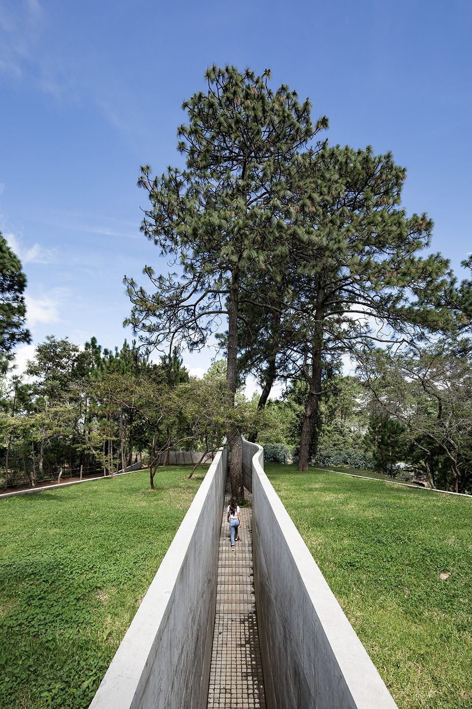 the hill in front the glen by hw studio