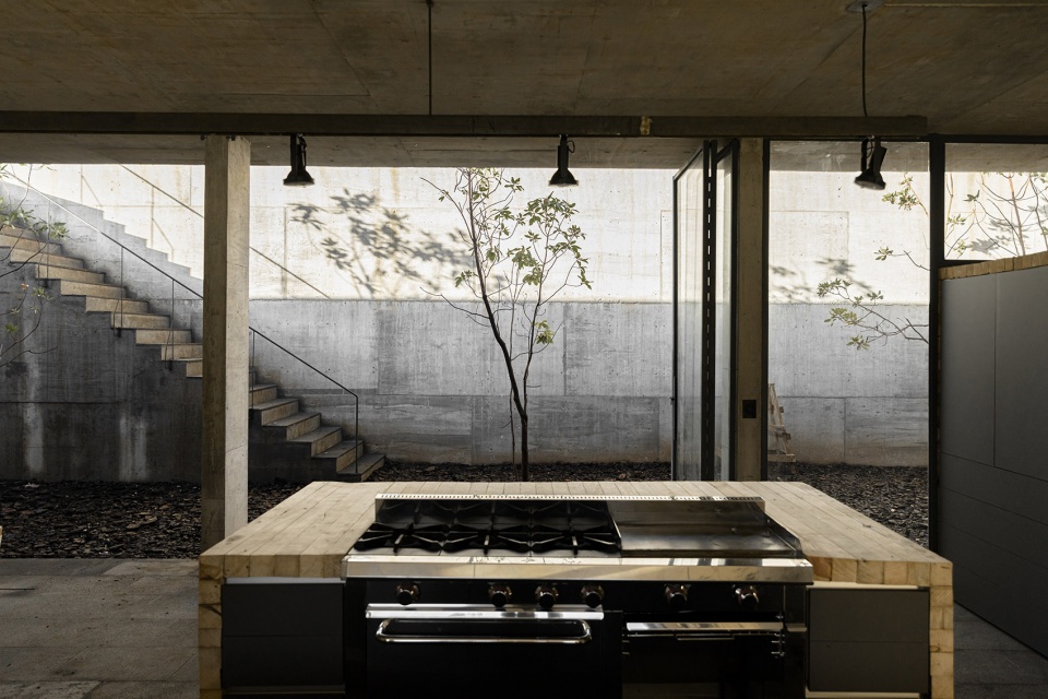 Avocado House by Francisco Pardo
