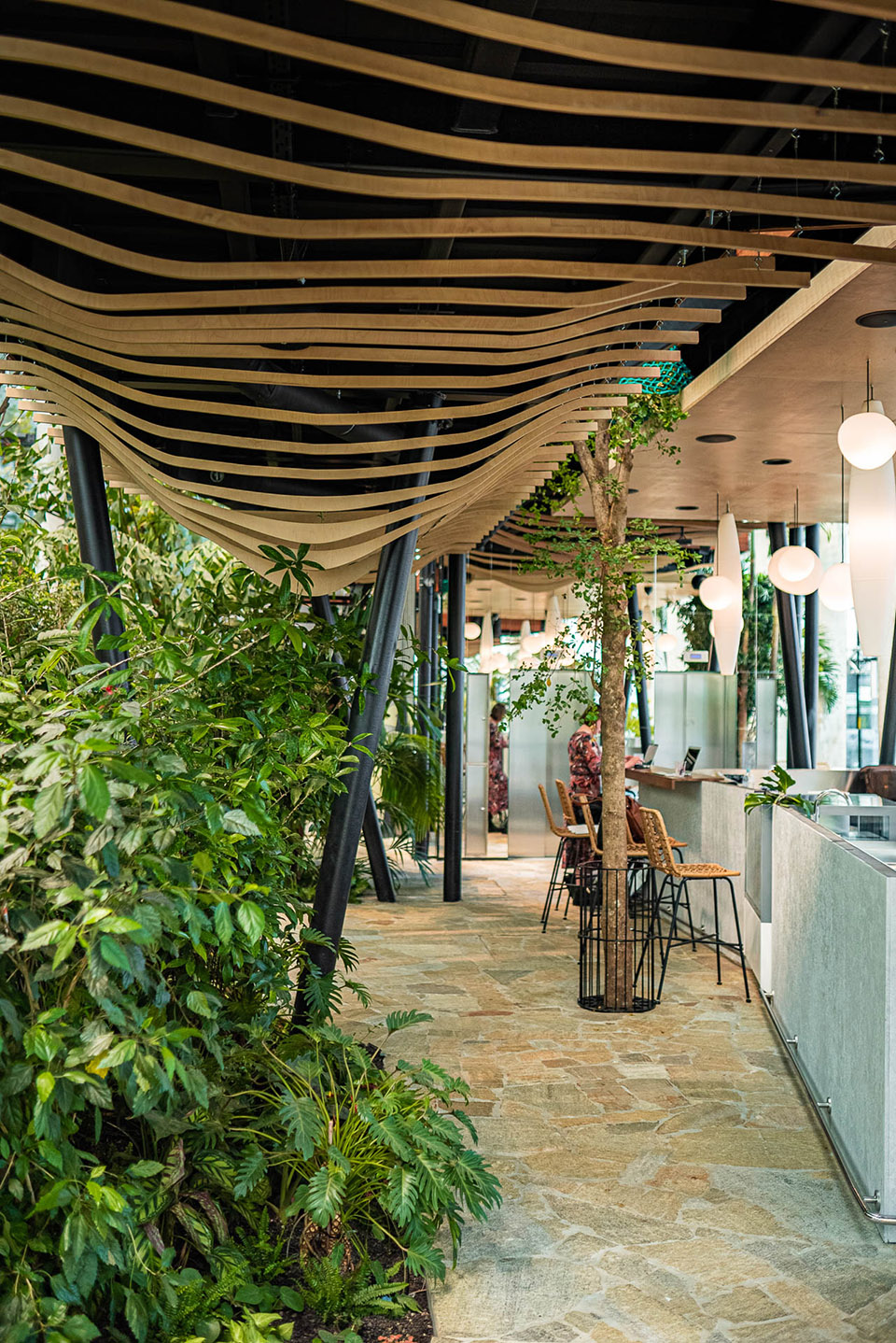 Exotic Garden at Workplace by MalinowskiDesign Urban landscape