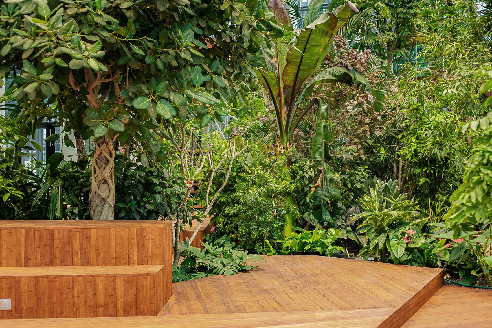 Exotic Garden at Workplace by MalinowskiDesign Urban landscape