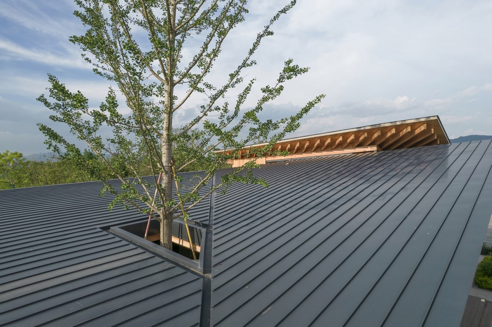 fuyang yangbei lake wetland reception center china by shulin architectural design