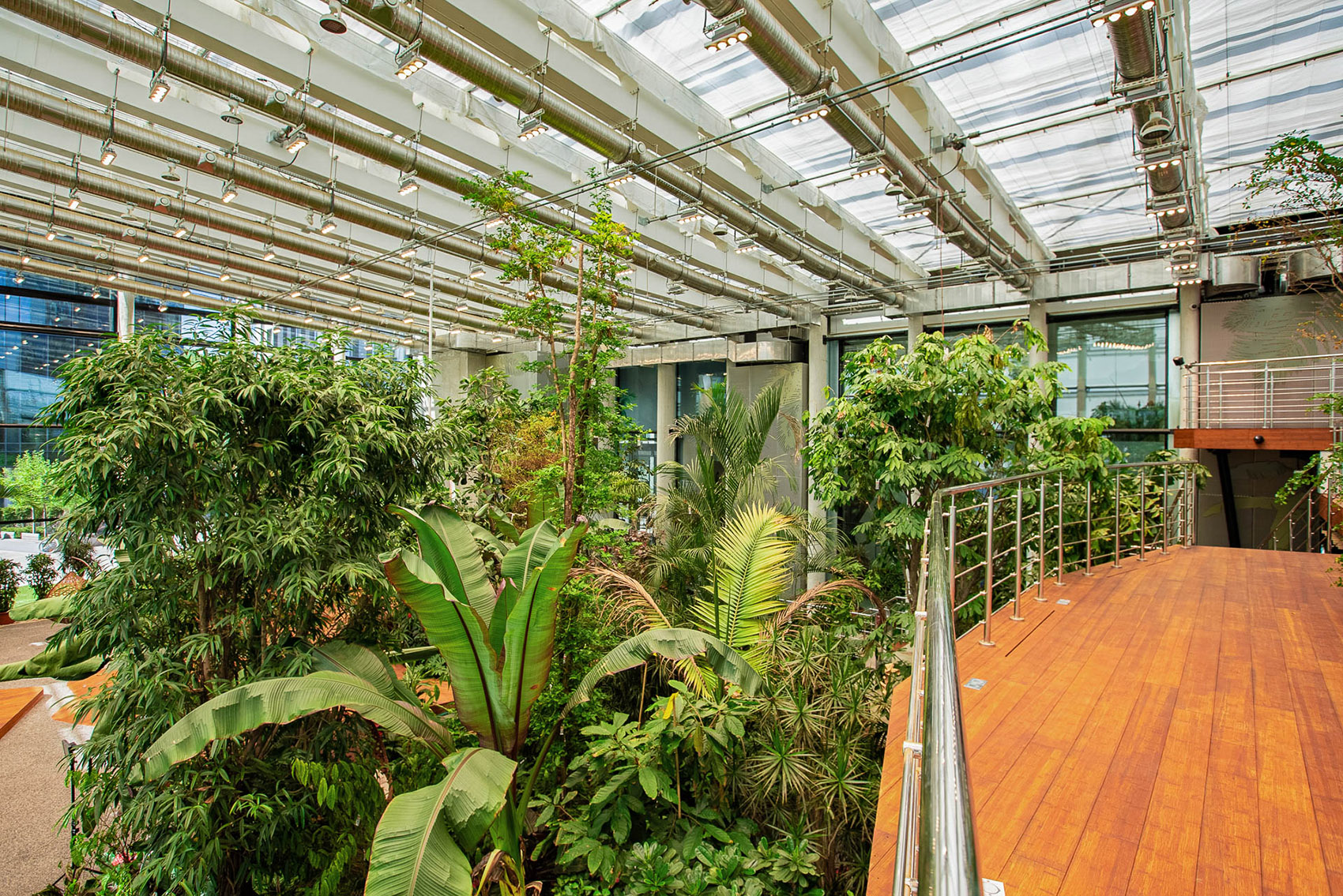 Exotic Garden at Workplace by MalinowskiDesign Urban landscape