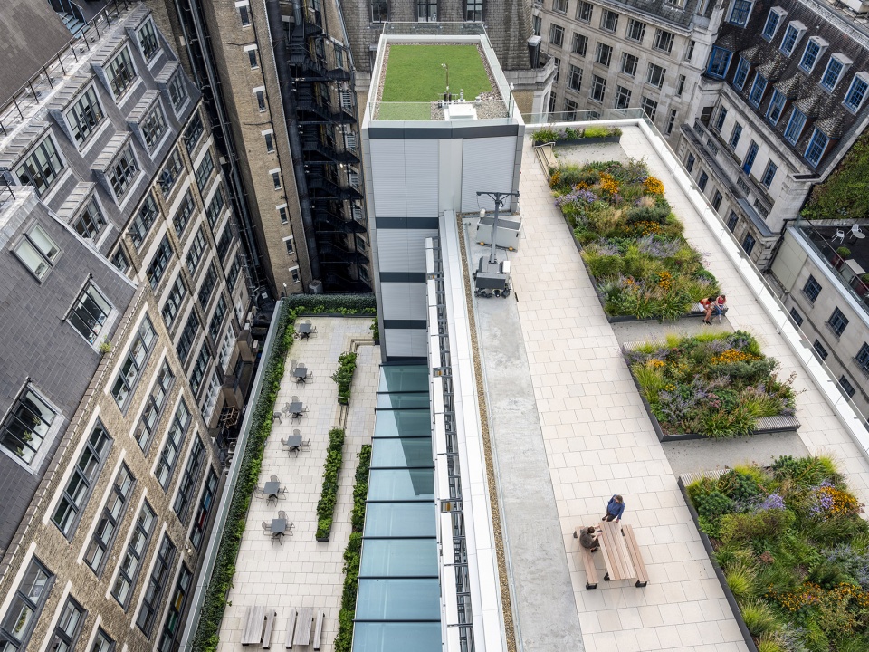 LSE Centre Building by RSHP