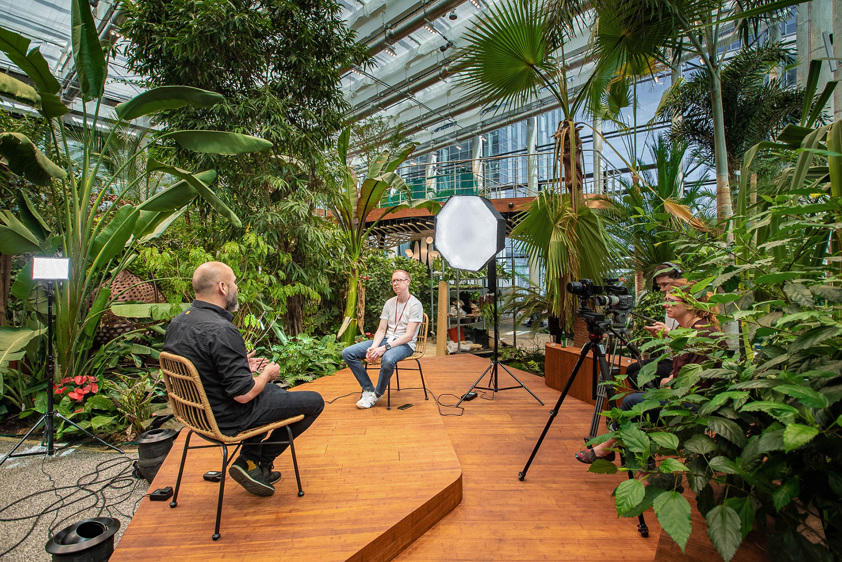 Exotic Garden at Workplace by MalinowskiDesign Urban landscape