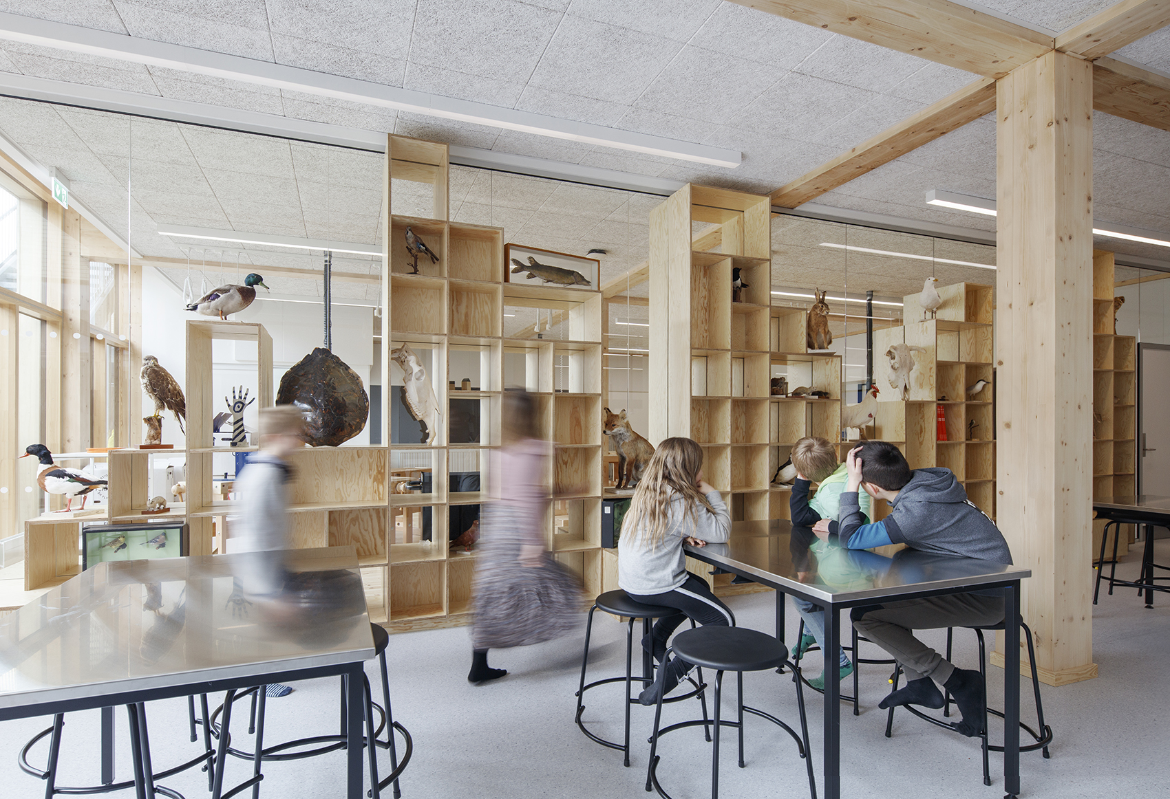 erlev school by arkitema architects