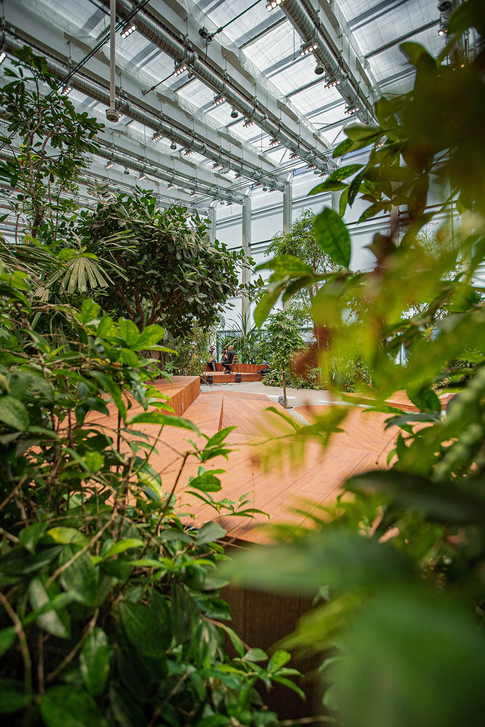 Exotic Garden at Workplace by MalinowskiDesign Urban landscape