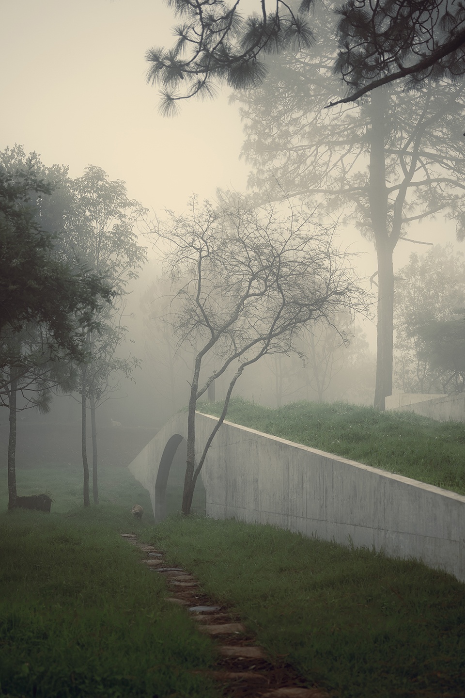 the hill in front the glen by hw studio