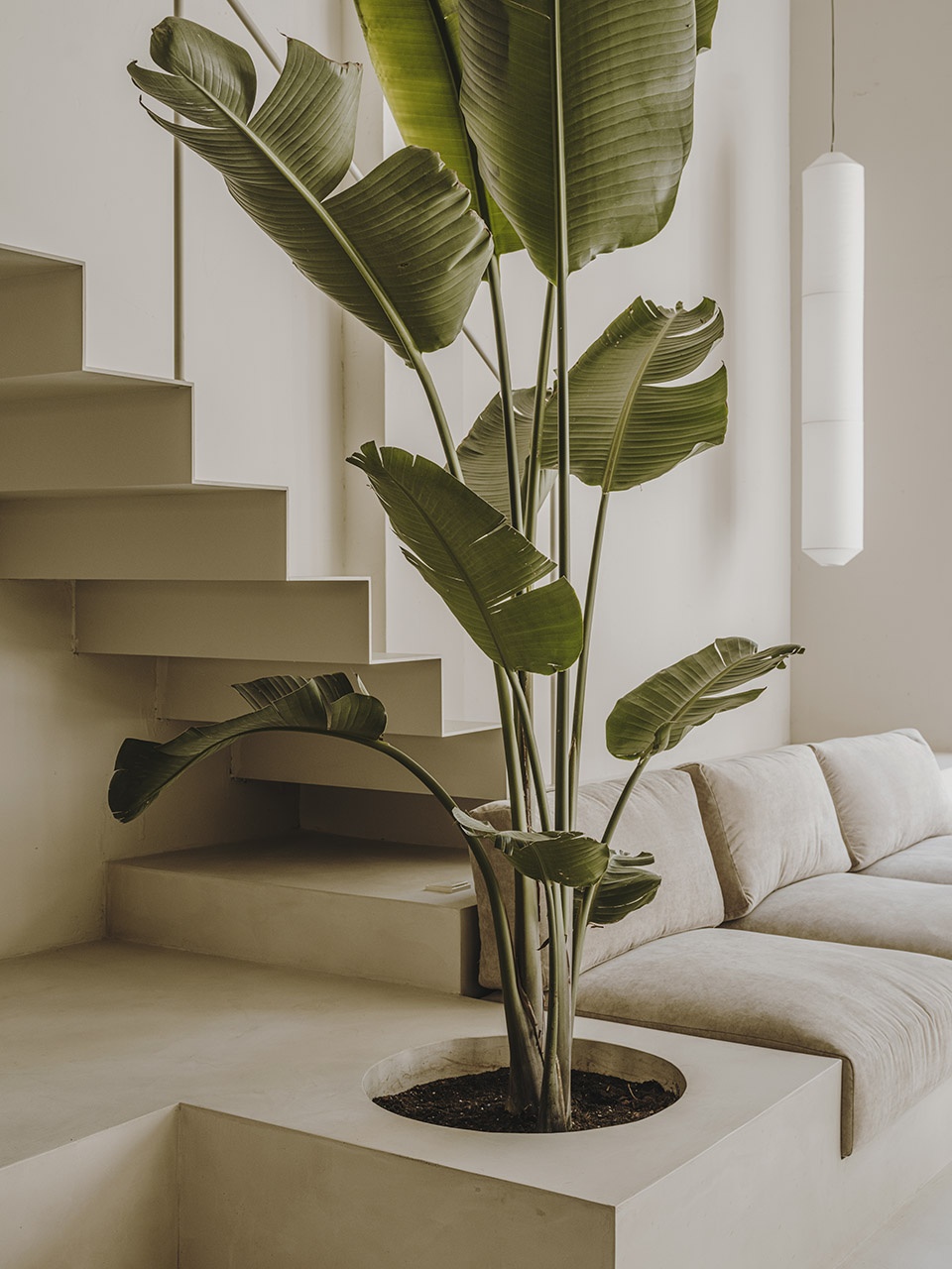 Studio refurbishment project for Six N Five by Isern Serra